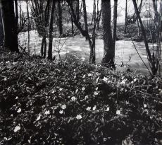 Jarní potok, 70. léta 20. století