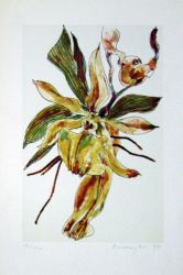 Orchidej, 1976